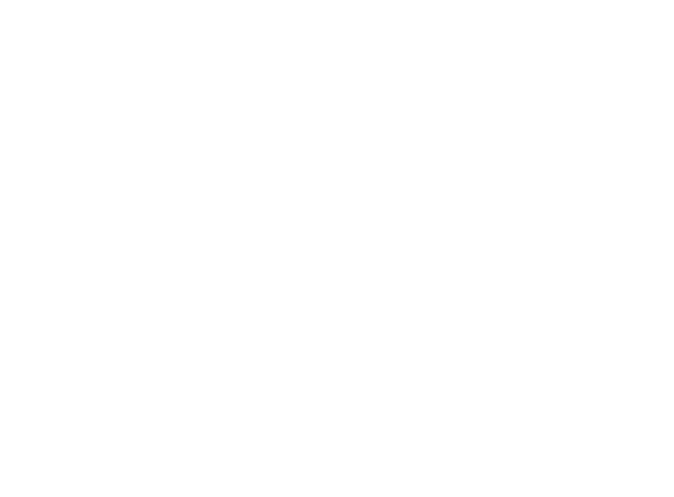 AM DigiPermit